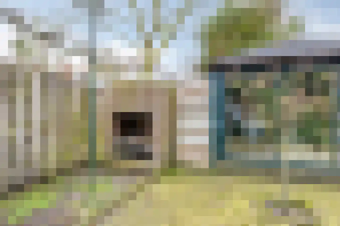 Herman Linnebankhof 26 Uden thumbnail 44