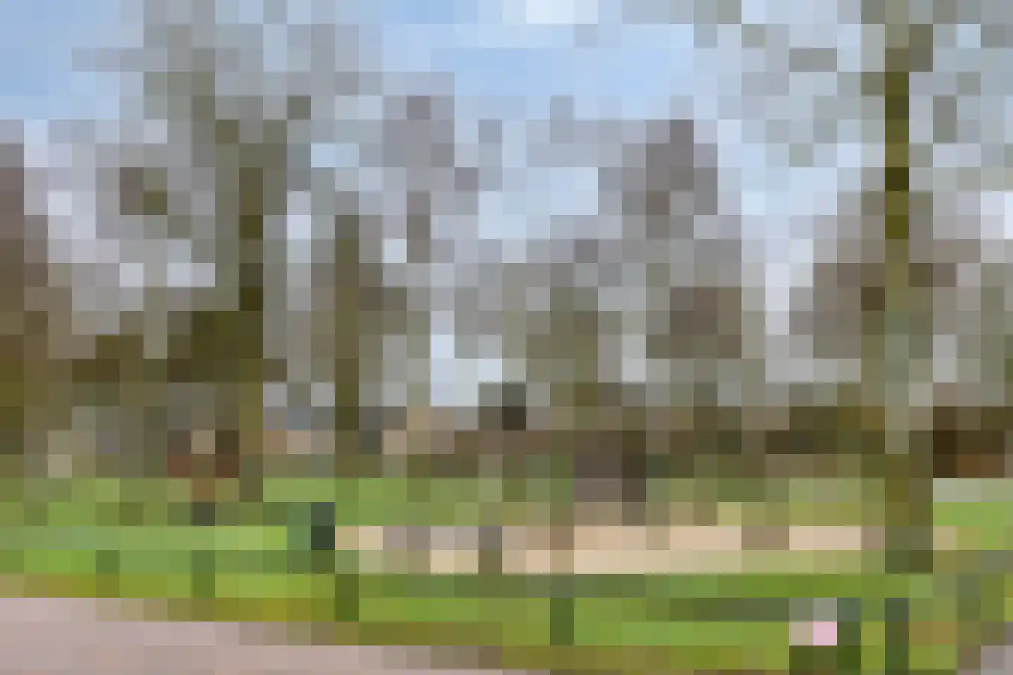 Herman Linnebankhof 26 Uden thumbnail 54