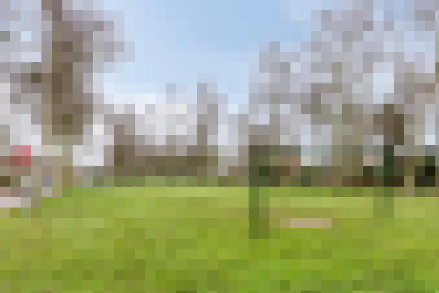 Herman Linnebankhof 26 Uden thumbnail 55