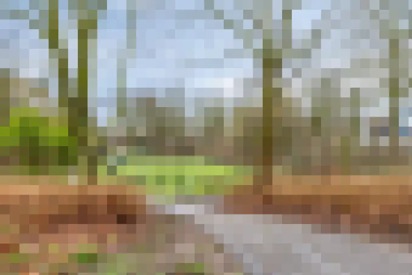 Herman Linnebankhof 26 Uden thumbnail 56