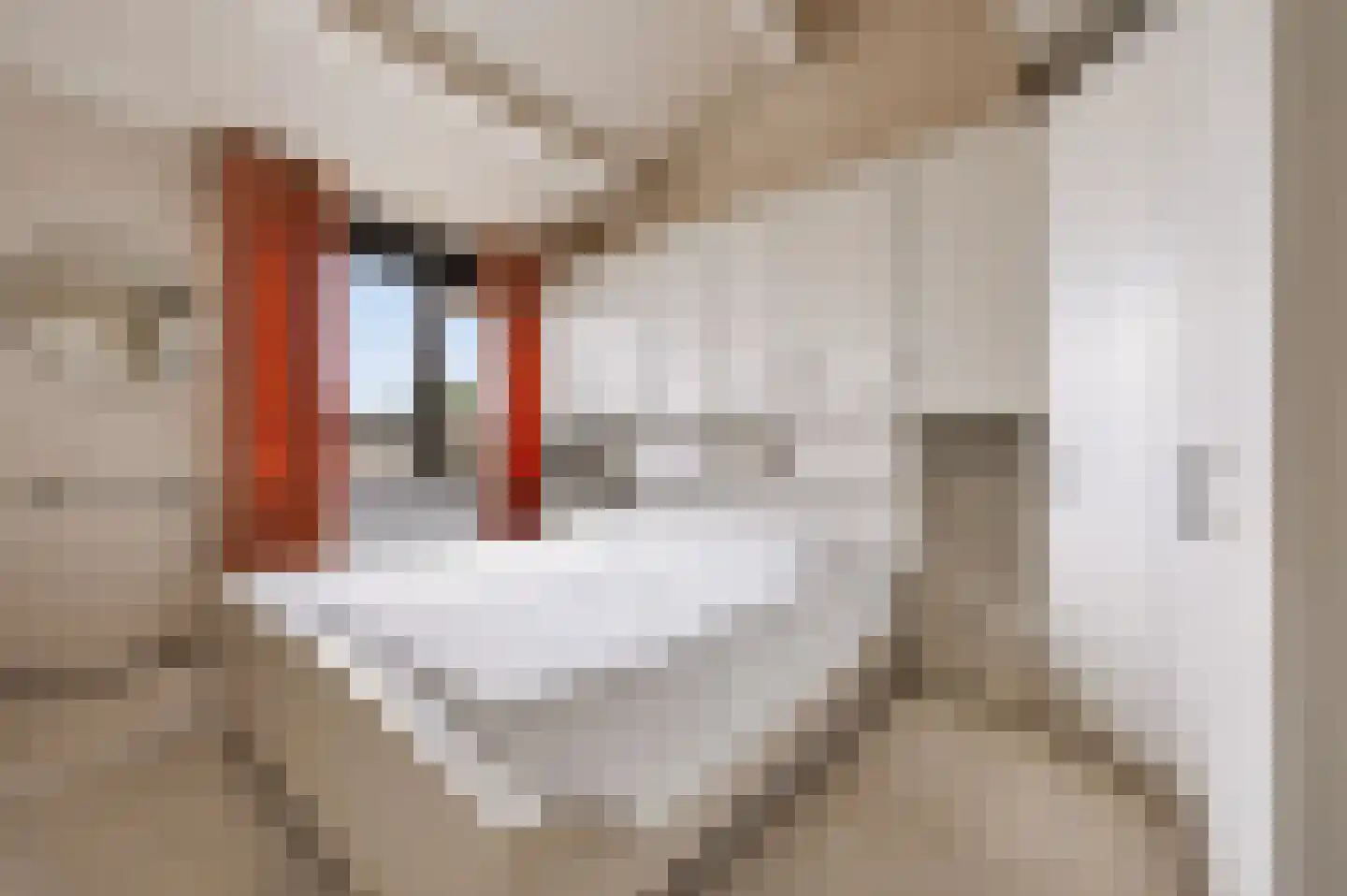 Herman Linnebankhof 30 Uden thumbnail 16