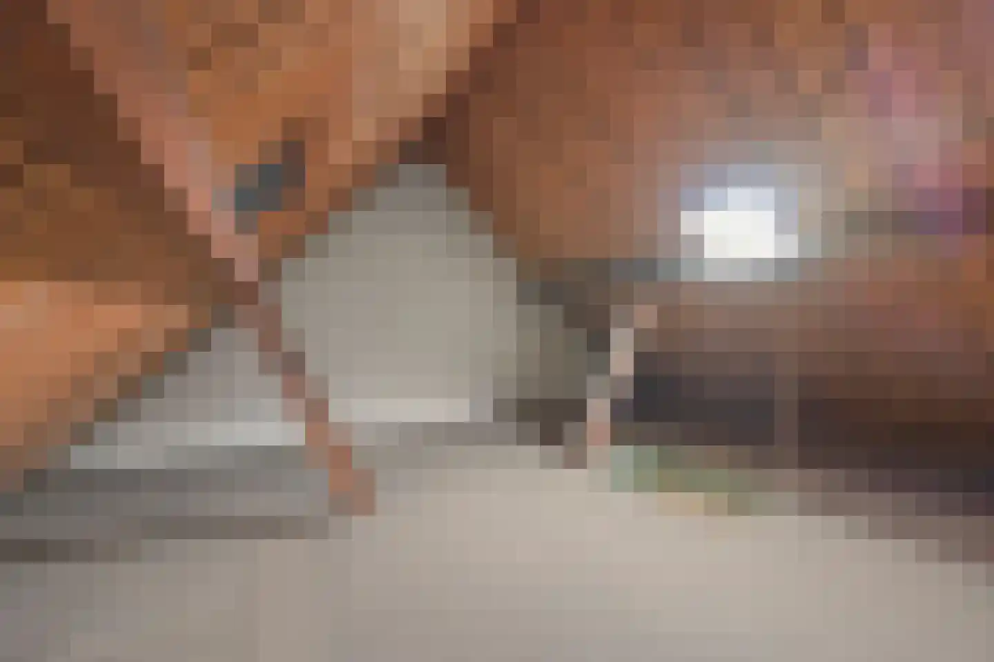Herman Modedstraat 13 Utrecht thumbnail 28