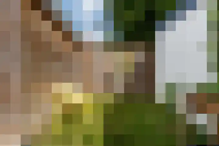 Herman Modedstraat 20 Utrecht thumbnail 10