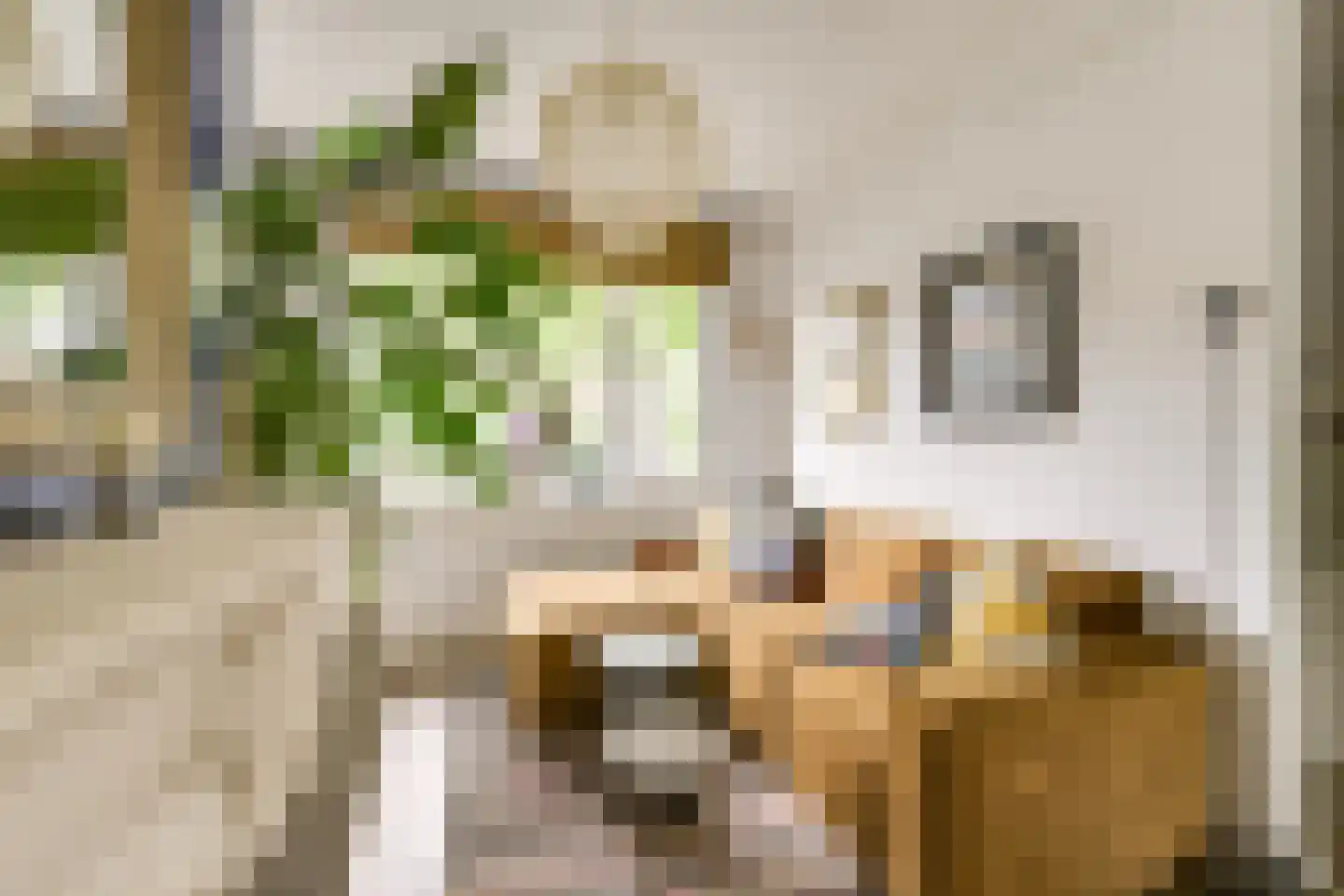 Herman Modedstraat 25 Utrecht thumbnail 9
