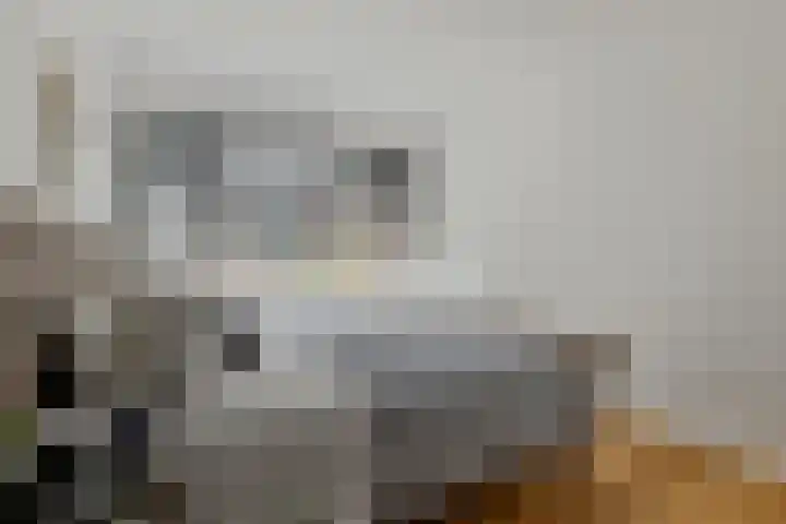 Herman Modedstraat 27 Utrecht thumbnail 13