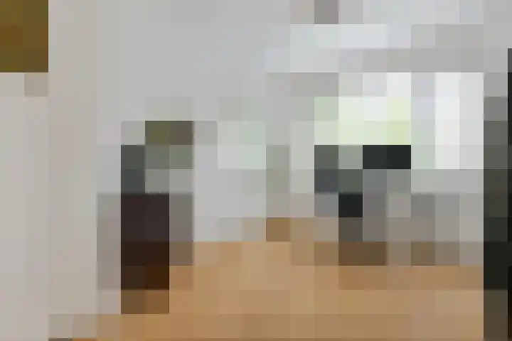 Herman Modedstraat 27 Utrecht thumbnail 15
