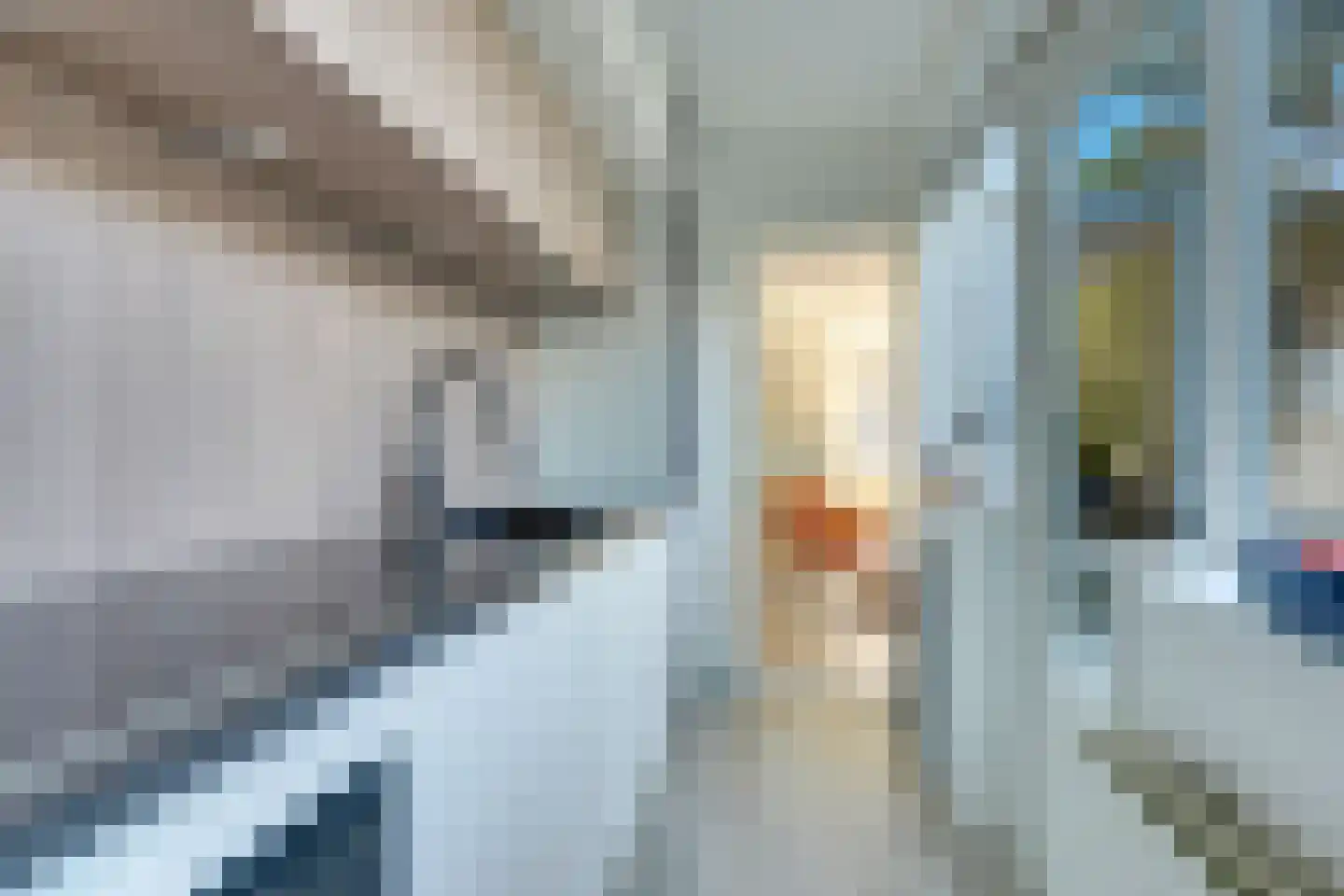 Herman Modedstraat 8 A Utrecht thumbnail 10