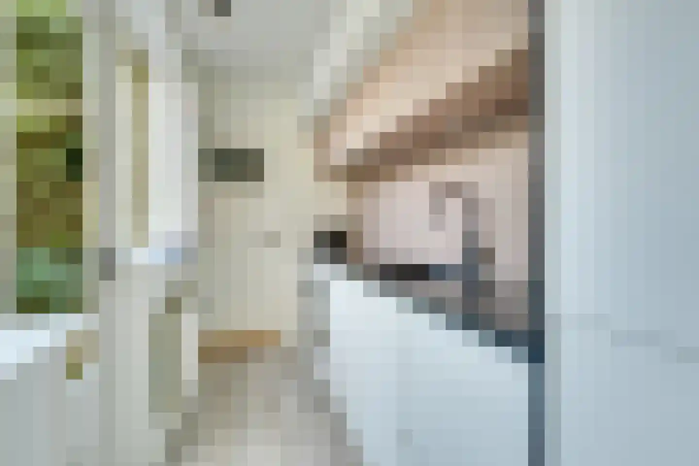 Herman Modedstraat 8 A Utrecht thumbnail 9