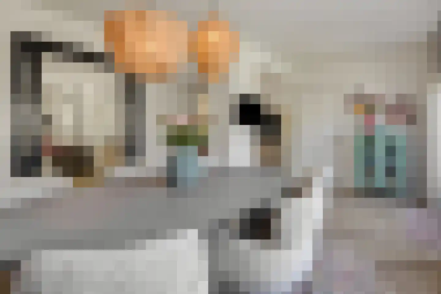 Herman Moerkerklaan 10 Rosmalen thumbnail 12