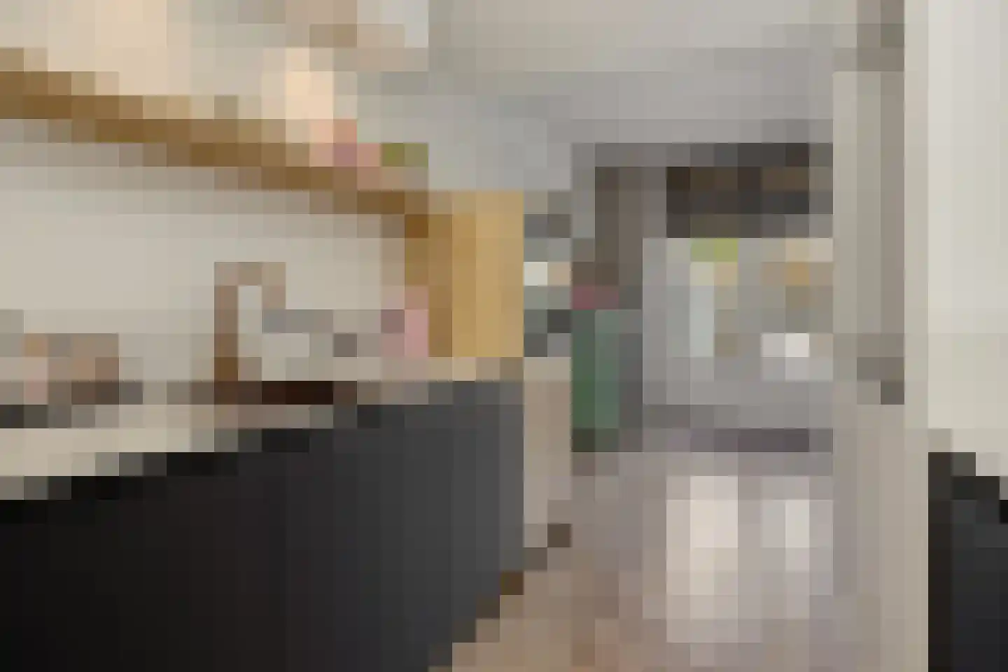 Herman Moerkerklaan 10 Rosmalen thumbnail 15