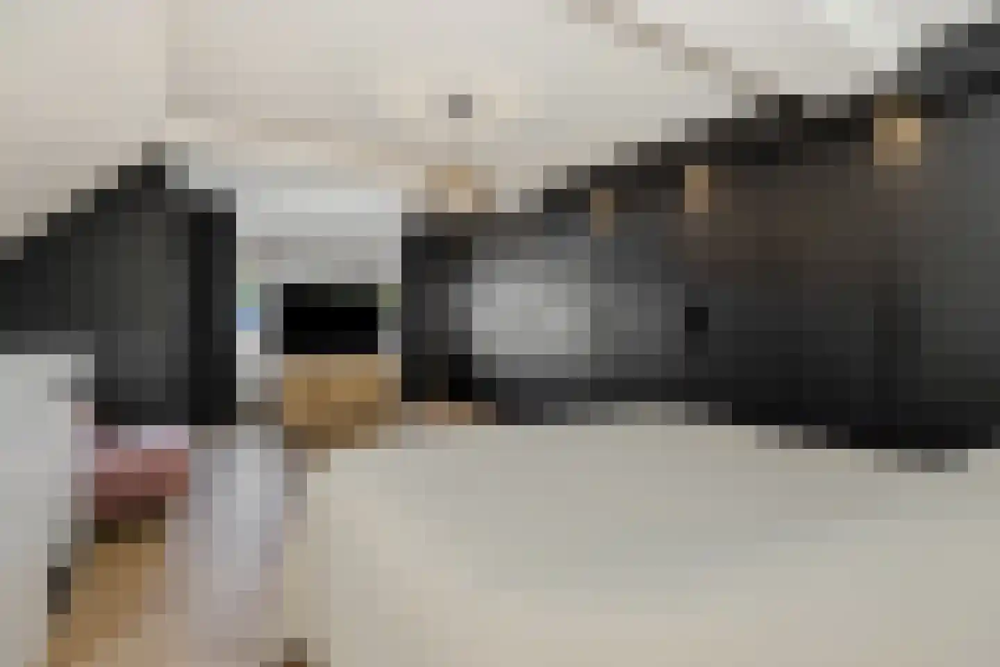Herman Moerkerklaan 10 Rosmalen thumbnail 30