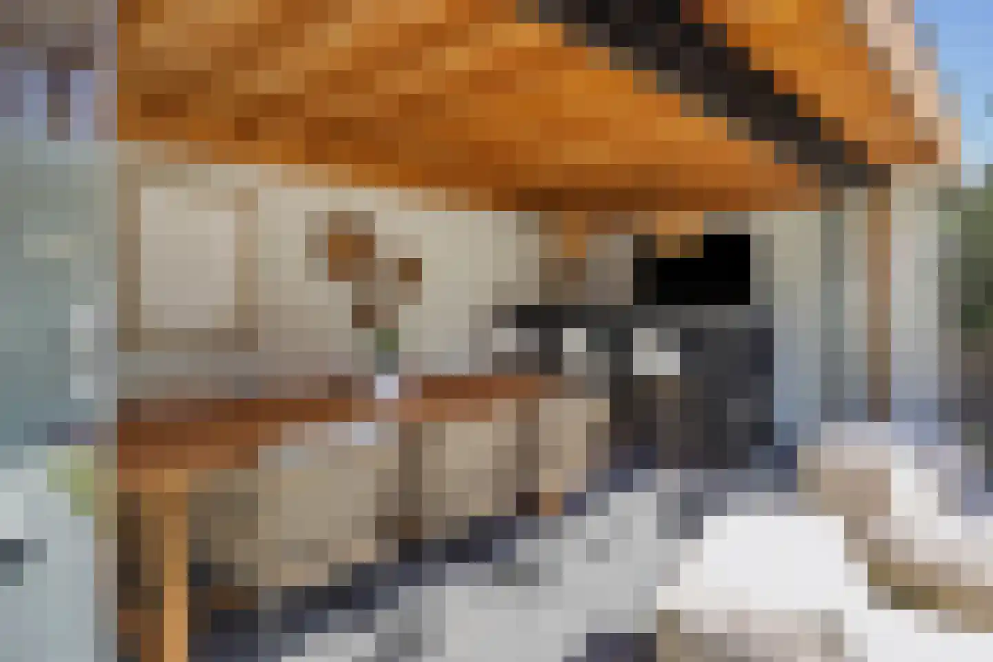 Herman Moerkerklaan 10 Rosmalen thumbnail 35