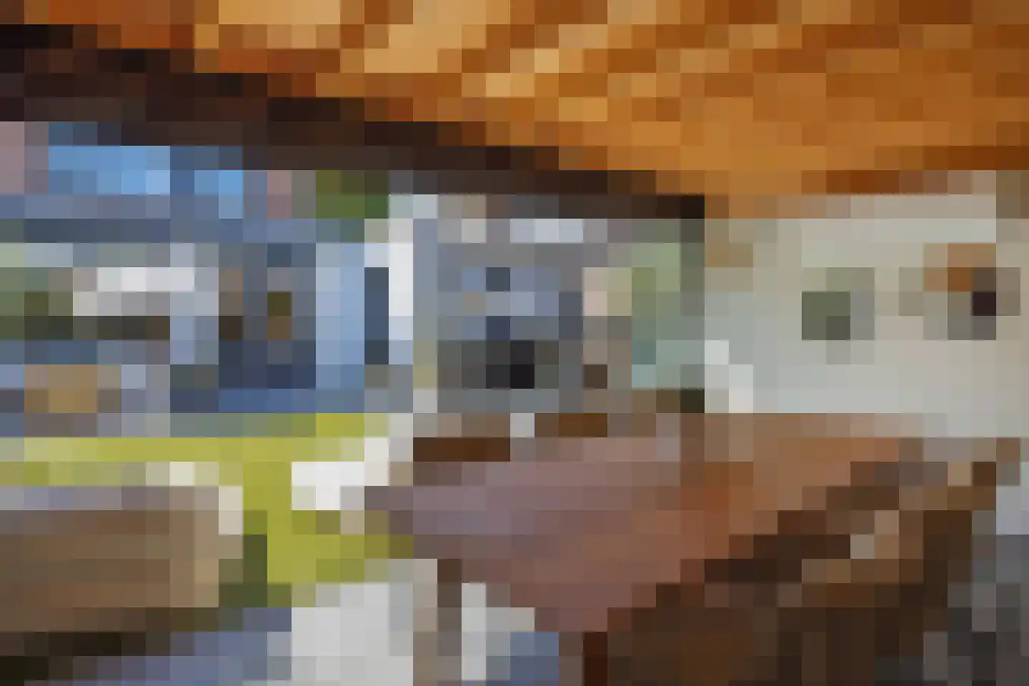 Herman Moerkerklaan 10 Rosmalen thumbnail 37