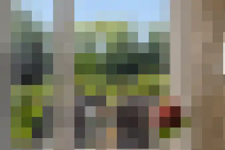 Herman Moerkerklaan 59 A Rosmalen thumbnail 15