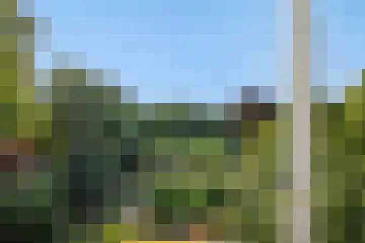 Herman Moerkerklaan 59 A Rosmalen thumbnail 32