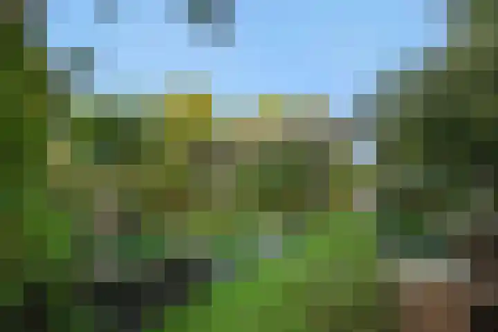 Herman Moerkerklaan 59 A Rosmalen thumbnail 46