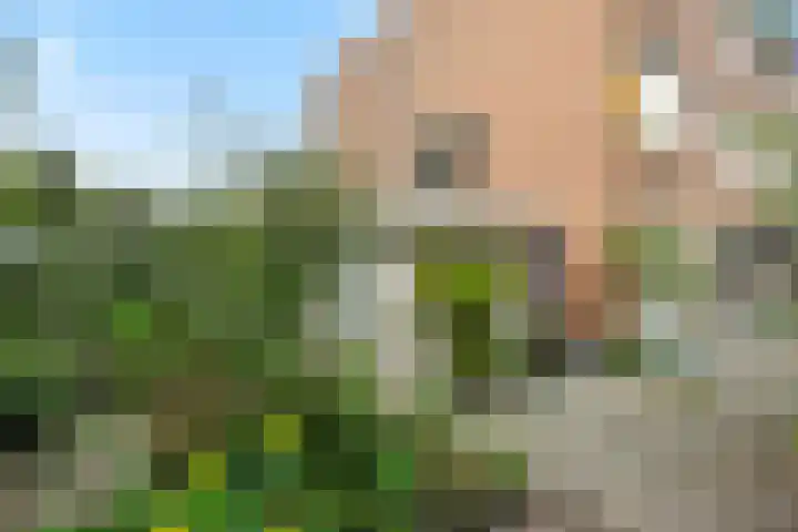 Herman Moerkerklaan 59 A Rosmalen thumbnail 52