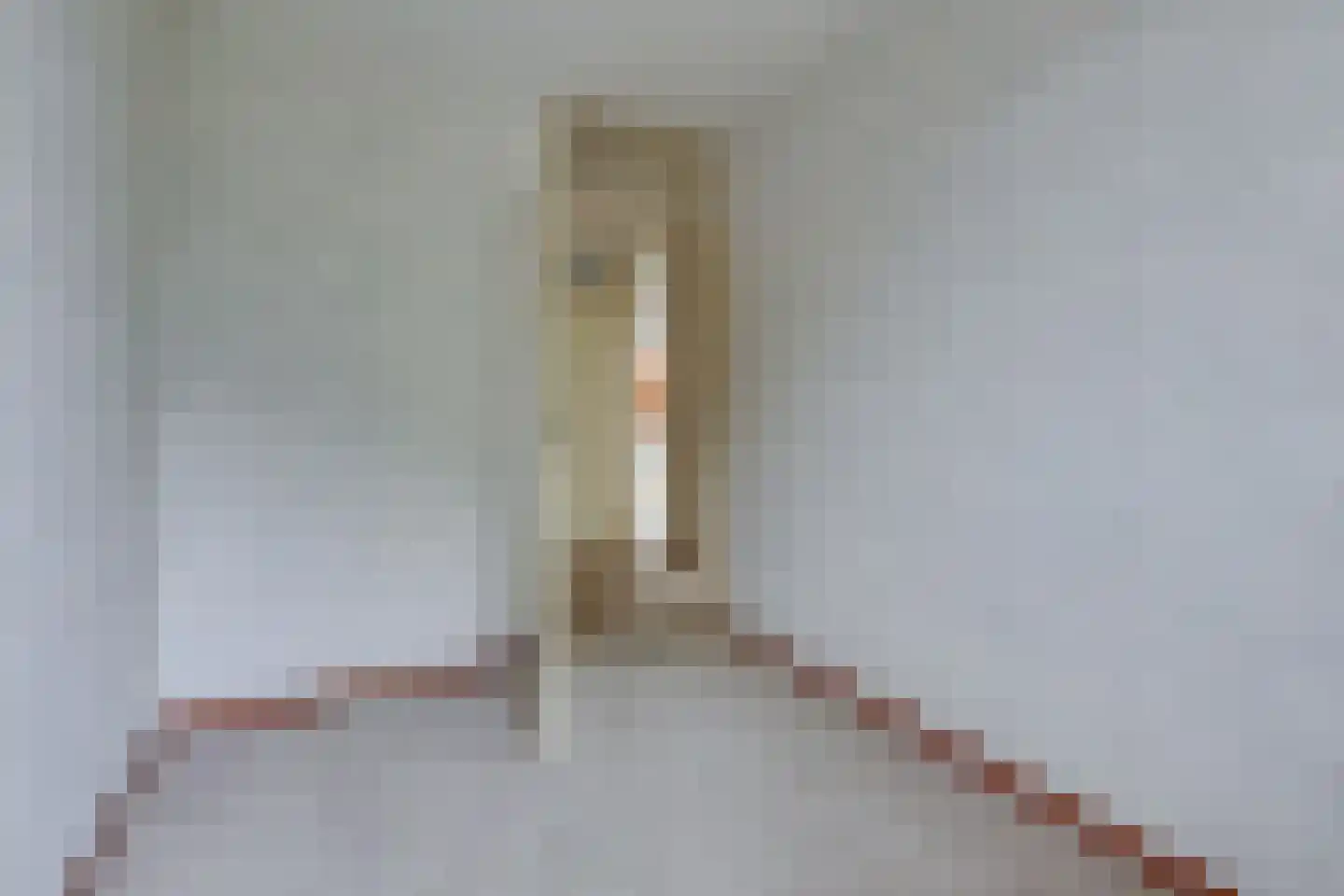 Herman Olijslagerstraat 9 Lichtenvoorde thumbnail 34