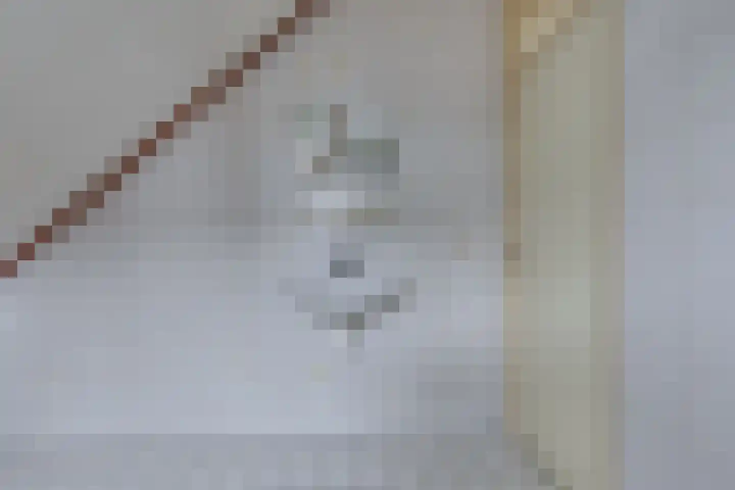 Herman Olijslagerstraat 9 Lichtenvoorde thumbnail 38