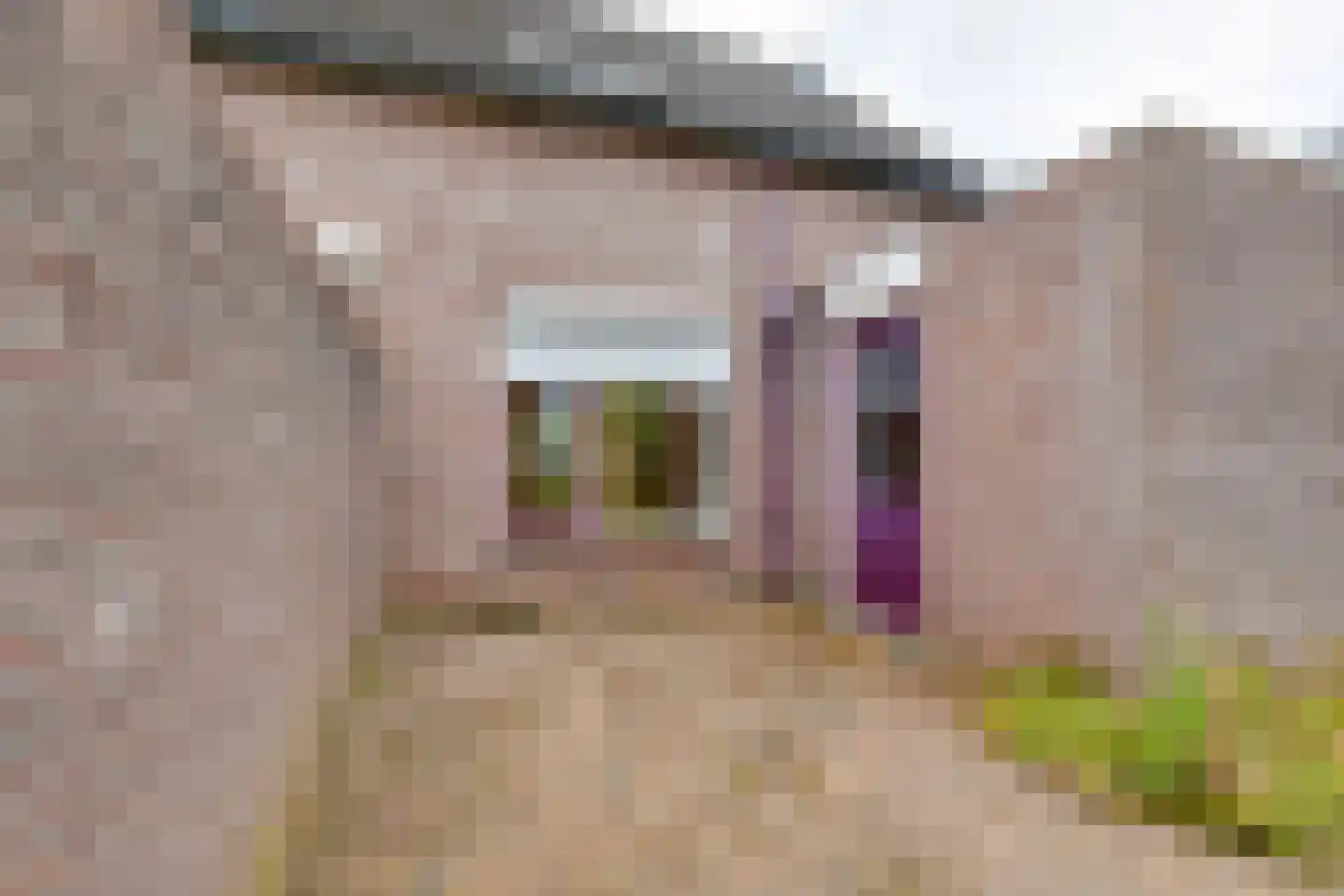 Herman Olijslagerstraat 9 Lichtenvoorde thumbnail 47