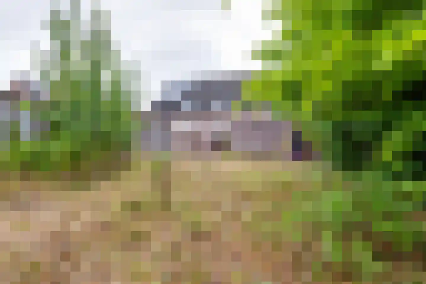 Herman Olijslagerstraat 9 Lichtenvoorde thumbnail 51