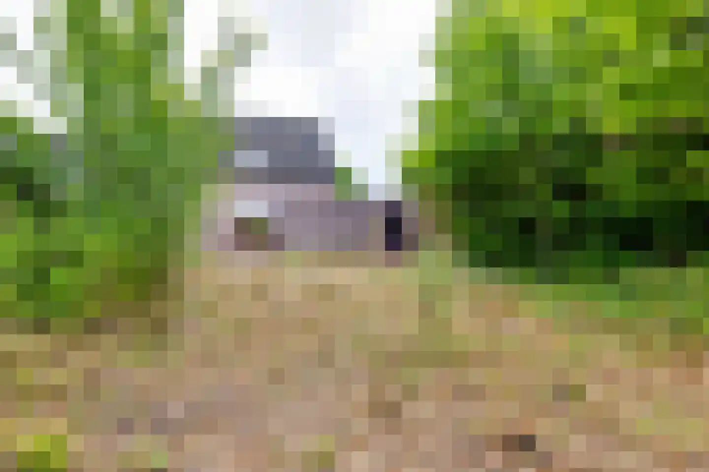 Herman Olijslagerstraat 9 Lichtenvoorde thumbnail 52