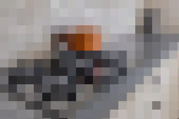 Herman Oolbekkinkstraat 11 Nijmegen thumbnail 18