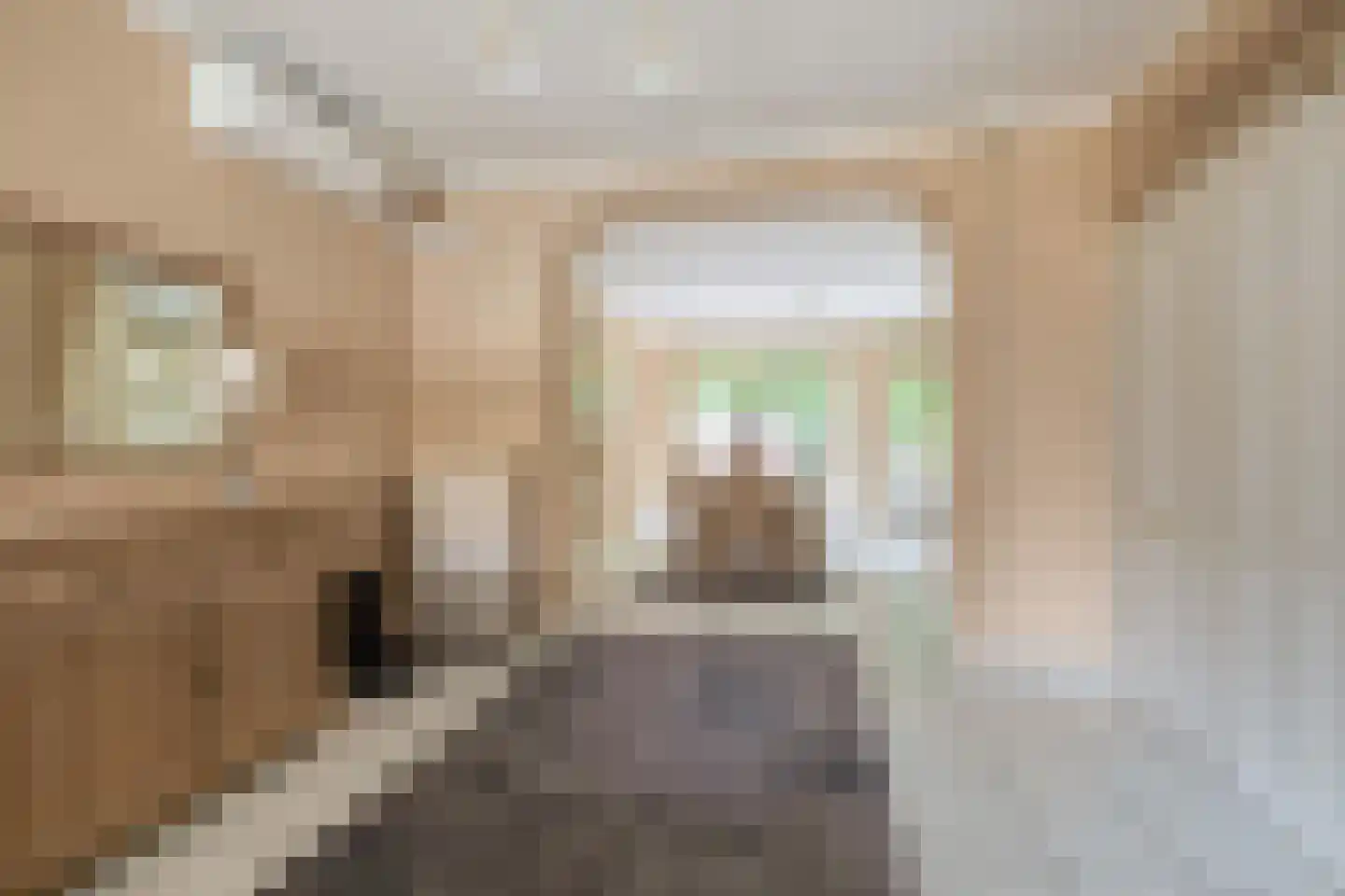 Herman Potgieterstraat 34 Venlo thumbnail 5