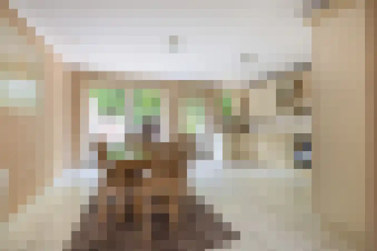 Herman Potgieterstraat 34 Venlo thumbnail 6