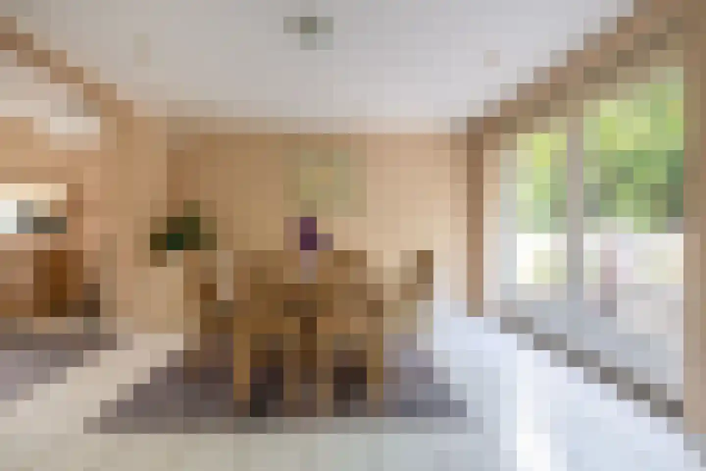 Herman Potgieterstraat 34 Venlo thumbnail 8