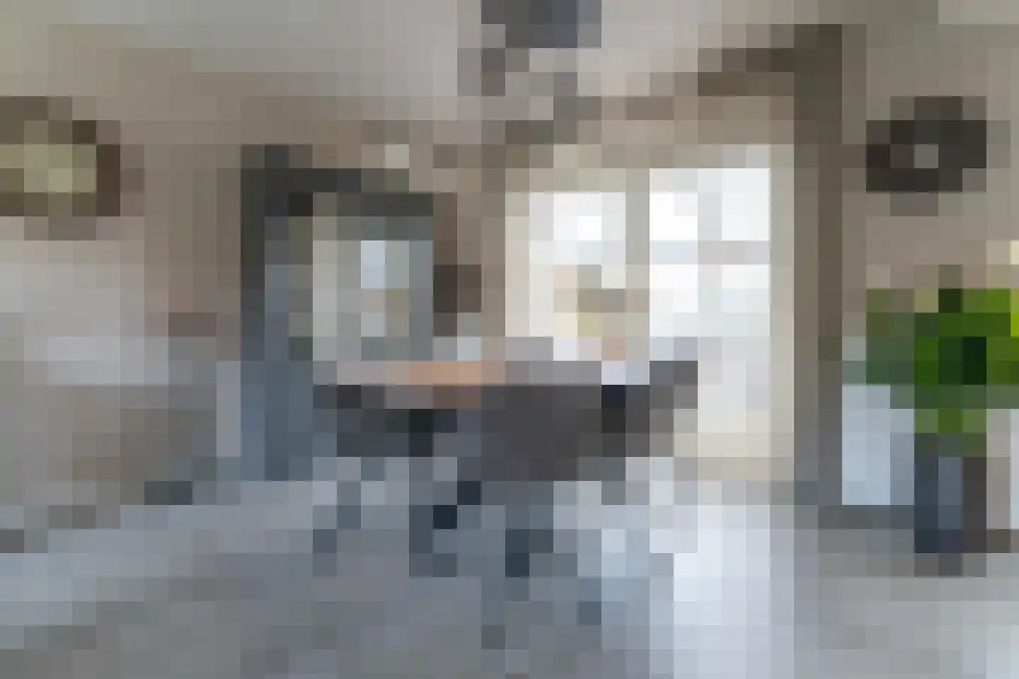Herman Potgieterstraat 9 Venlo thumbnail 10