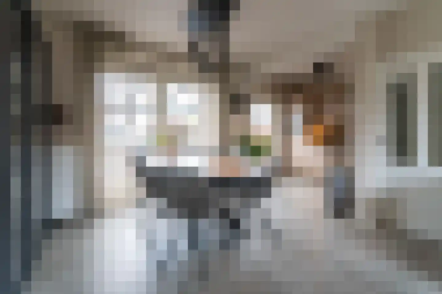Herman Potgieterstraat 9 Venlo thumbnail 11