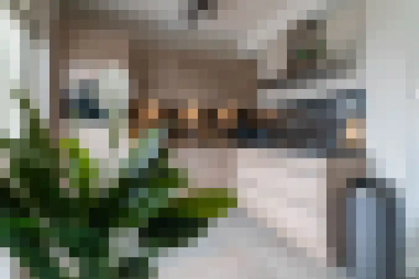 Herman Potgieterstraat 9 Venlo thumbnail 12