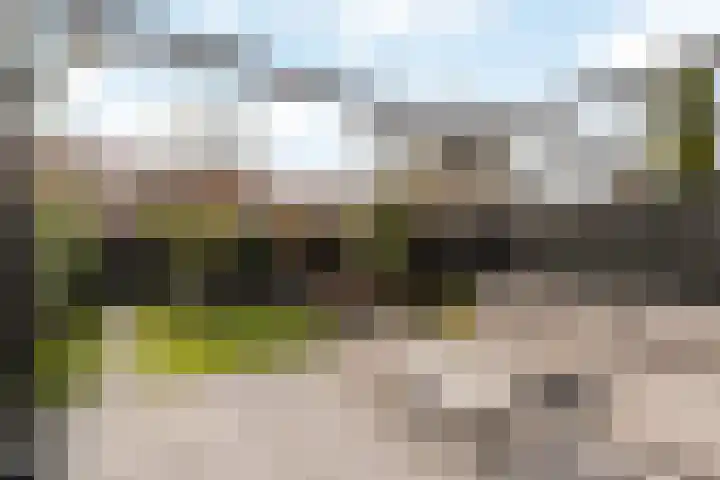 Herman Teirlinckstraat 48 Rotterdam thumbnail 31