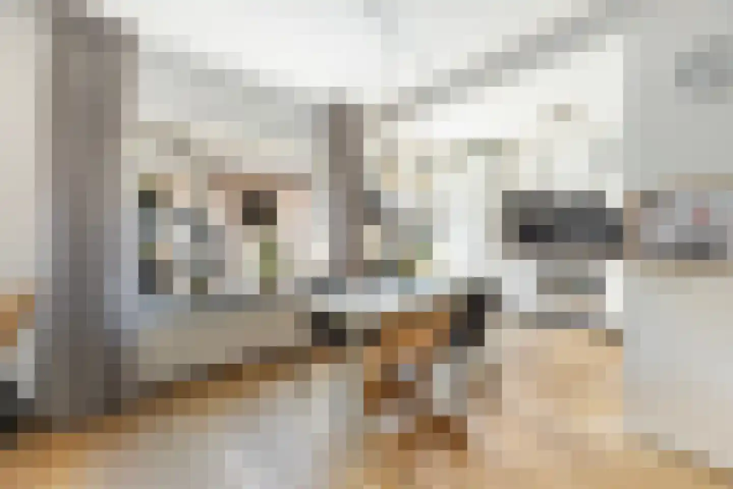 Herman ten Catestraat 34 Eibergen thumbnail 12