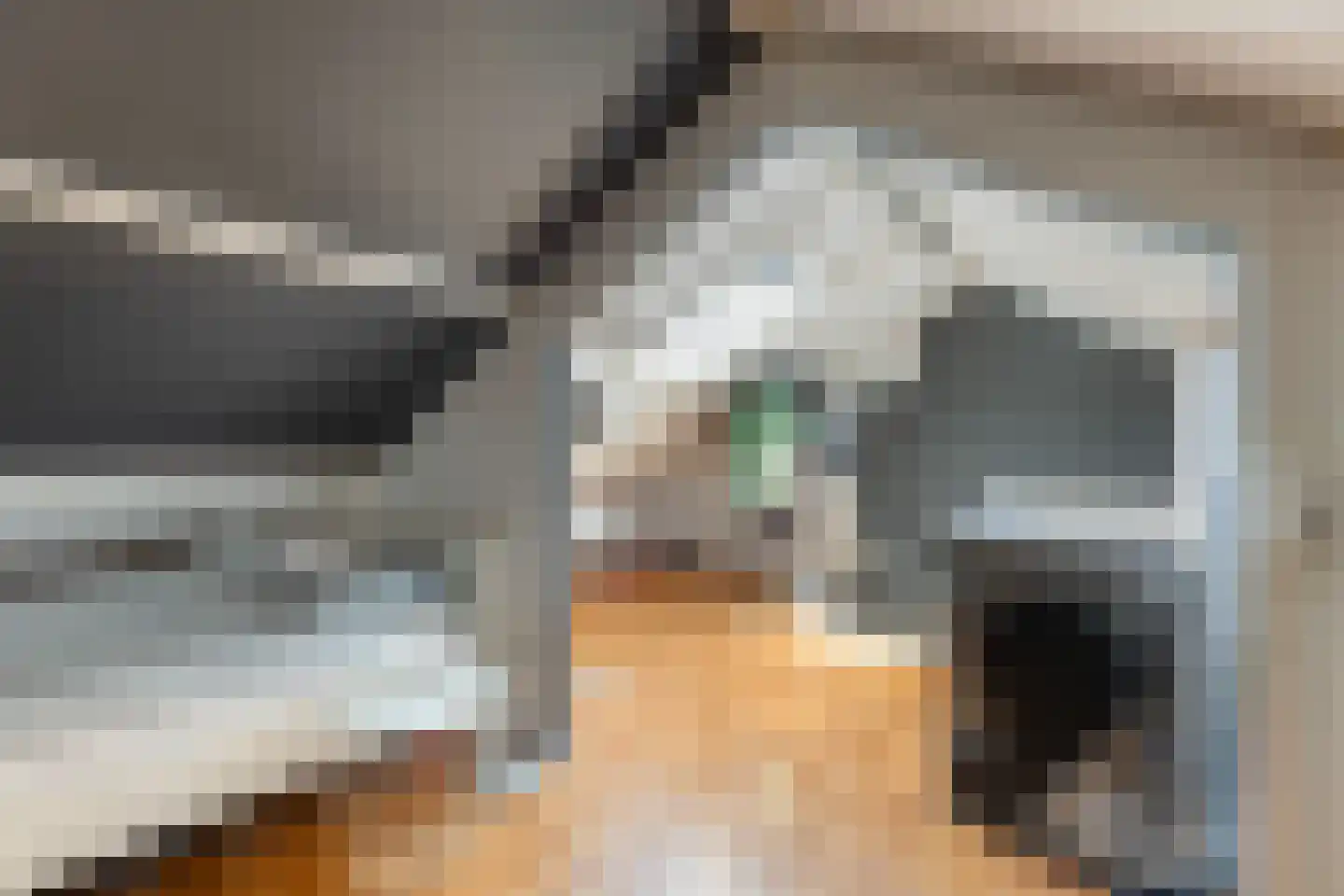 Herman ten Catestraat 34 Eibergen thumbnail 33