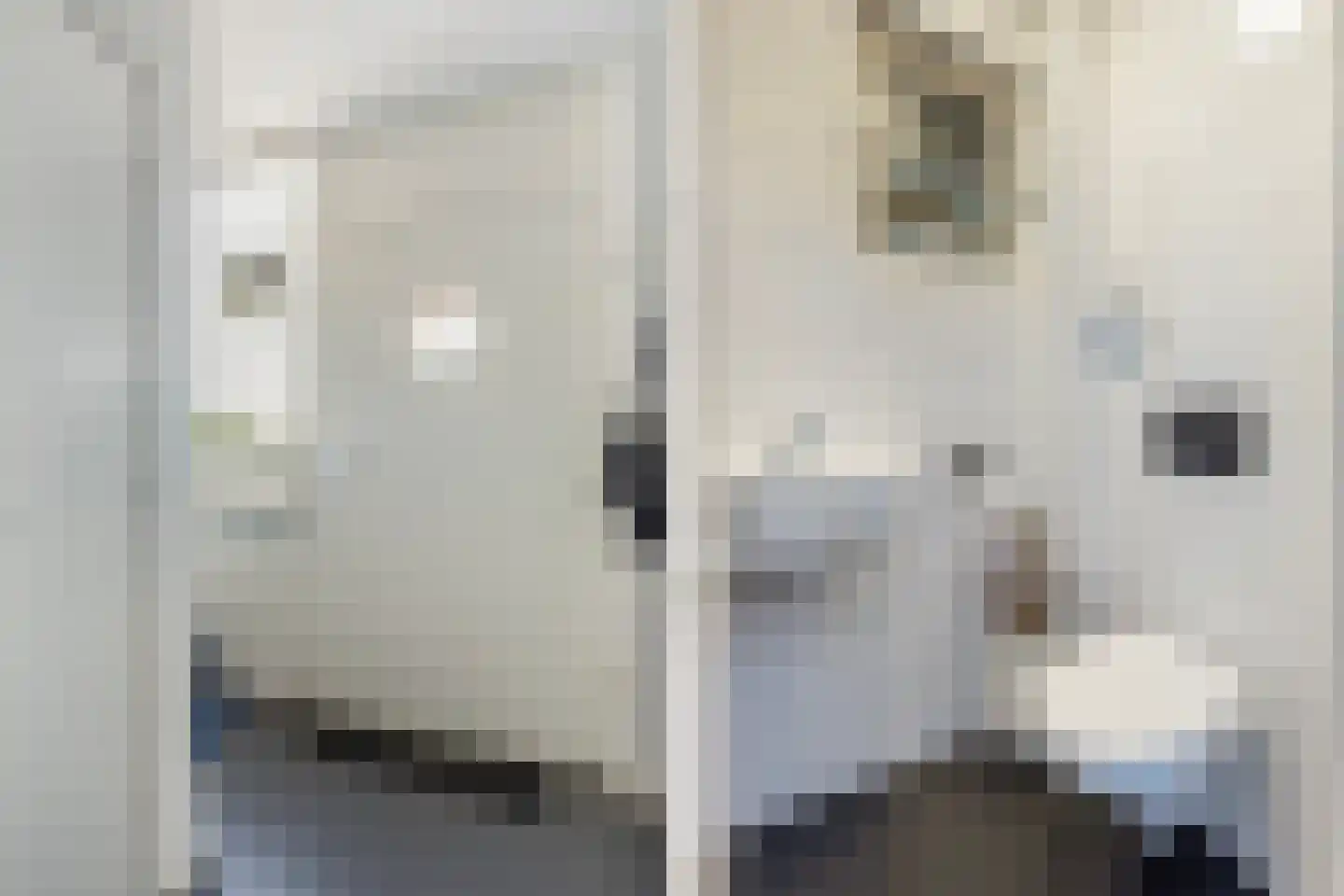 Herman ten Catestraat 34 Eibergen thumbnail 8