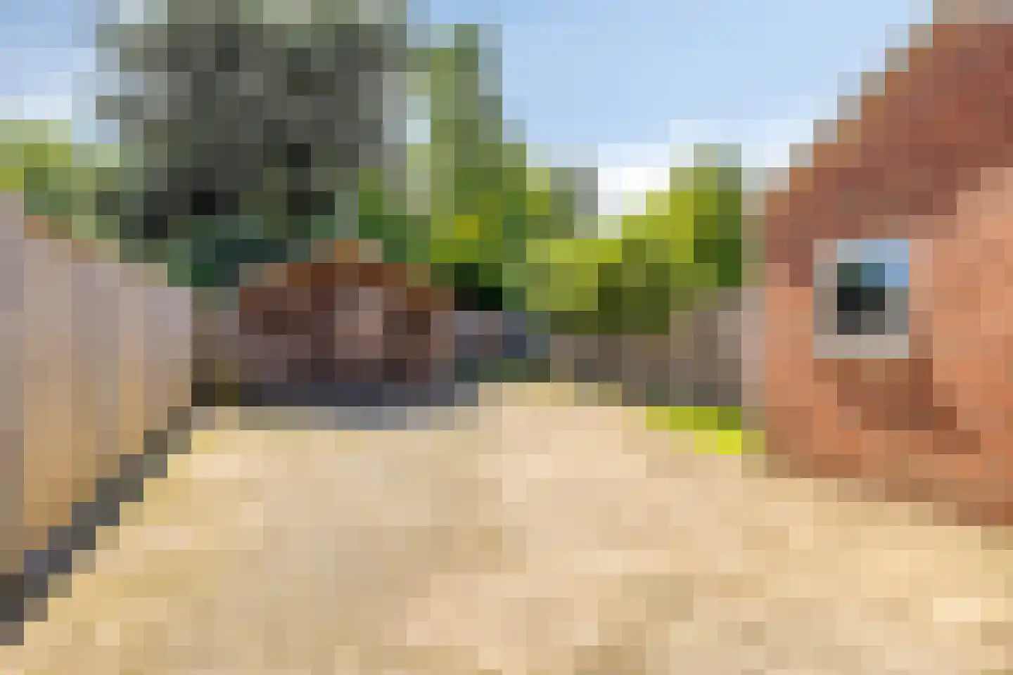 Herman ten Catestraat 58 Eibergen thumbnail 33