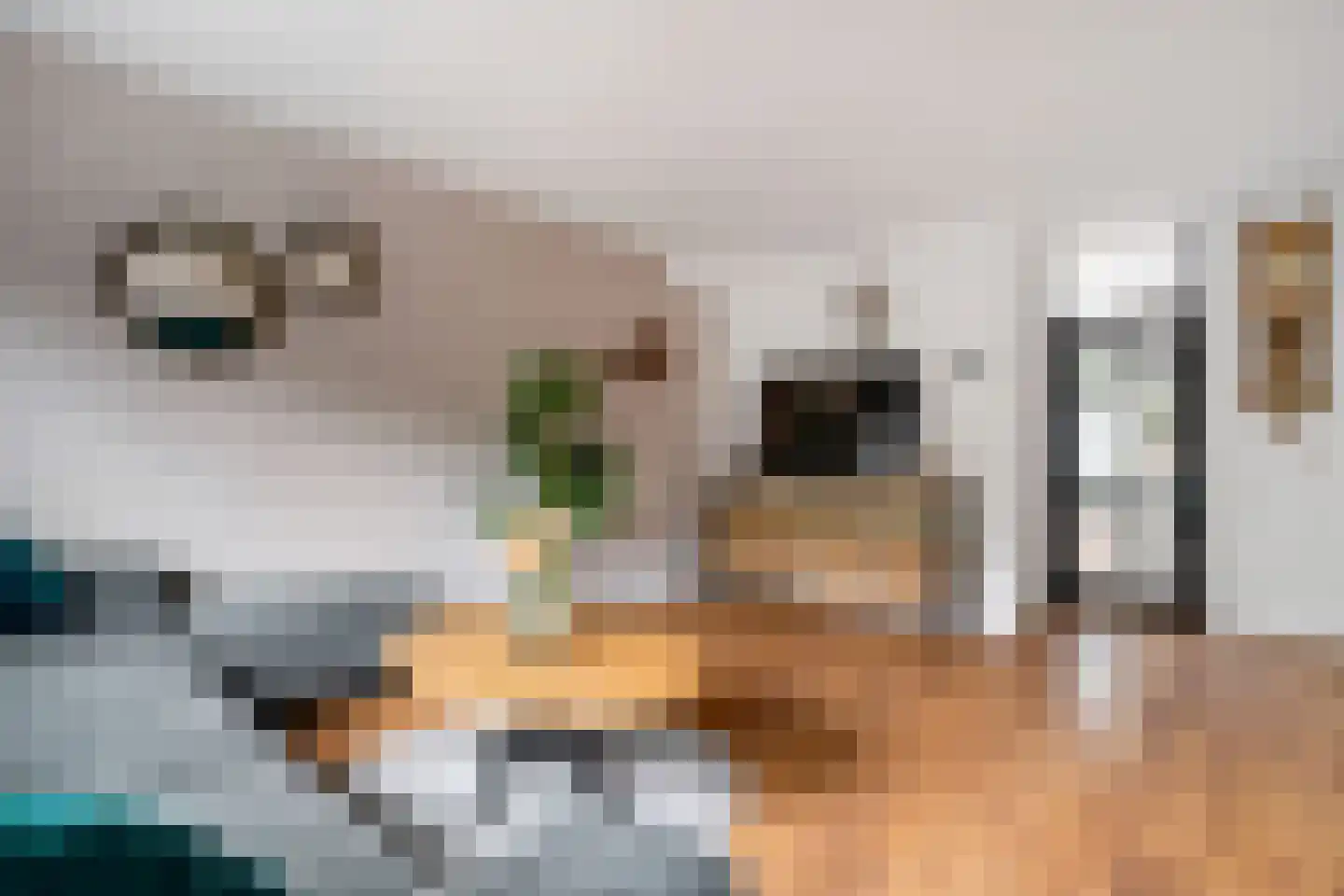 Herman ter Hoentelaan 16 Losser thumbnail 15