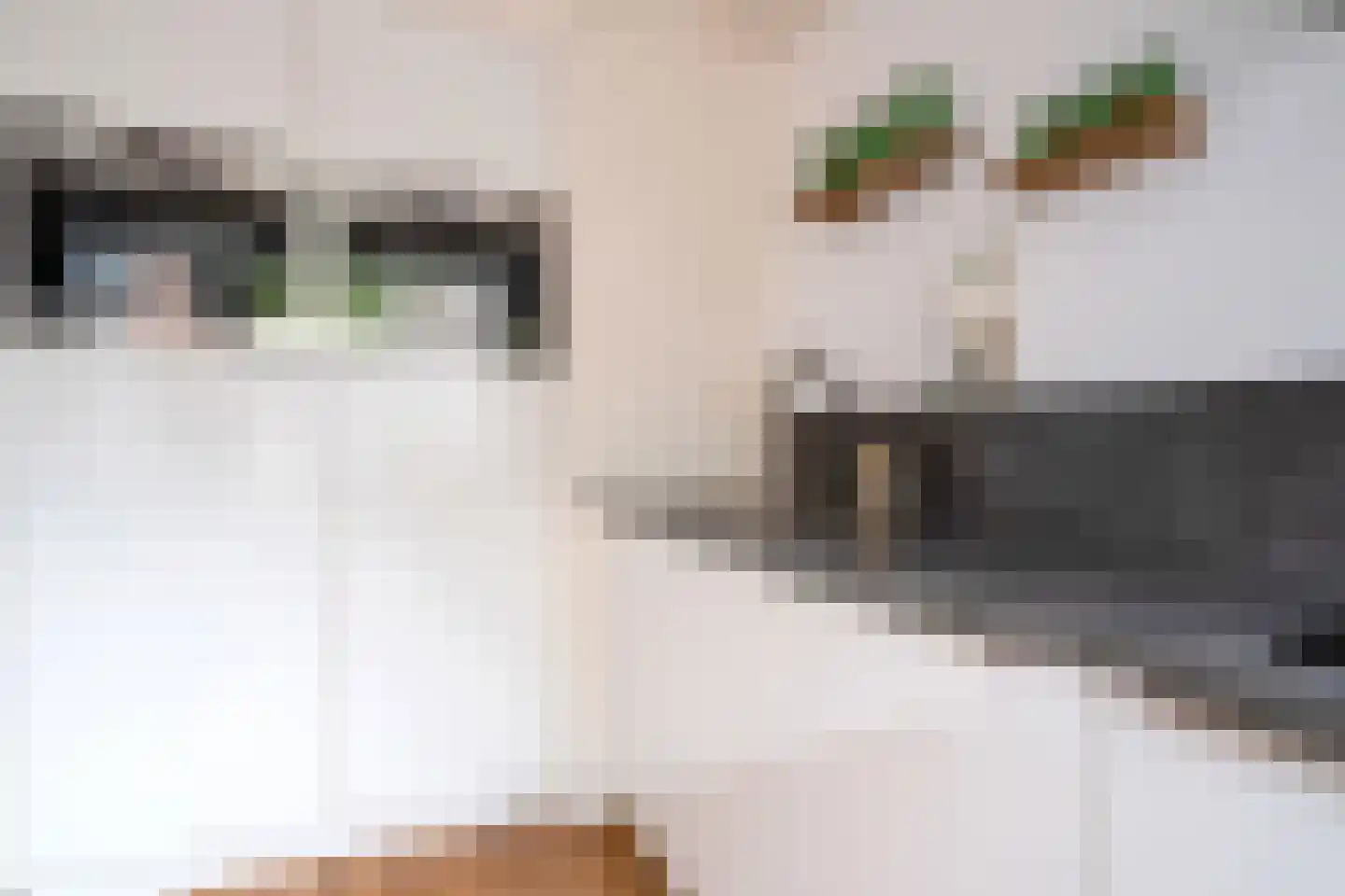 Herman ter Hoentelaan 16 Losser thumbnail 16