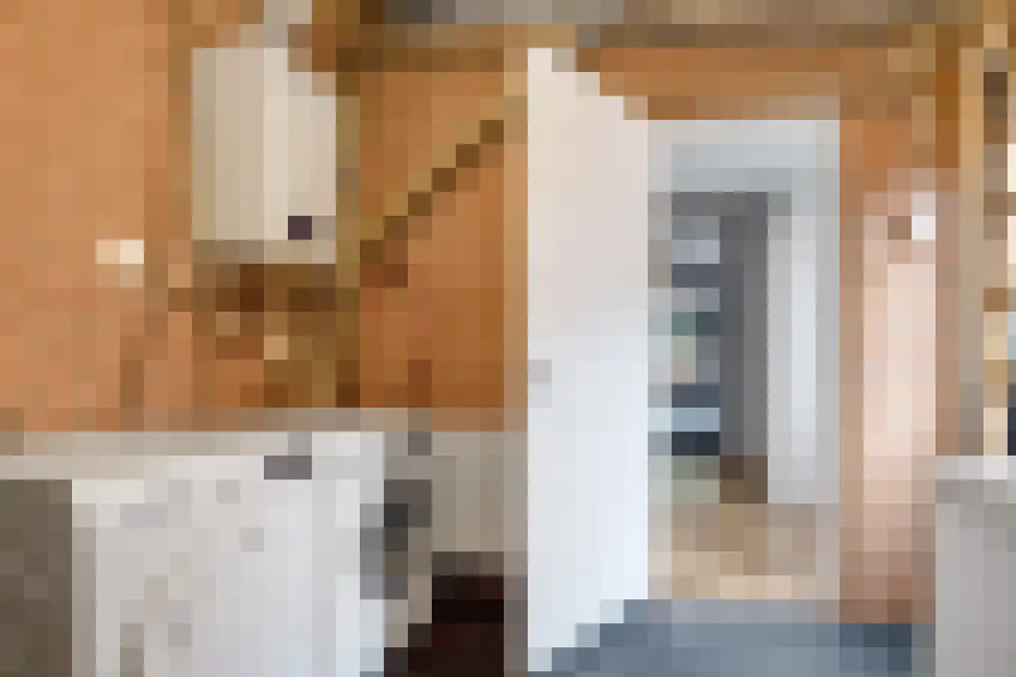 Herman ter Hoentelaan 16 Losser thumbnail 19