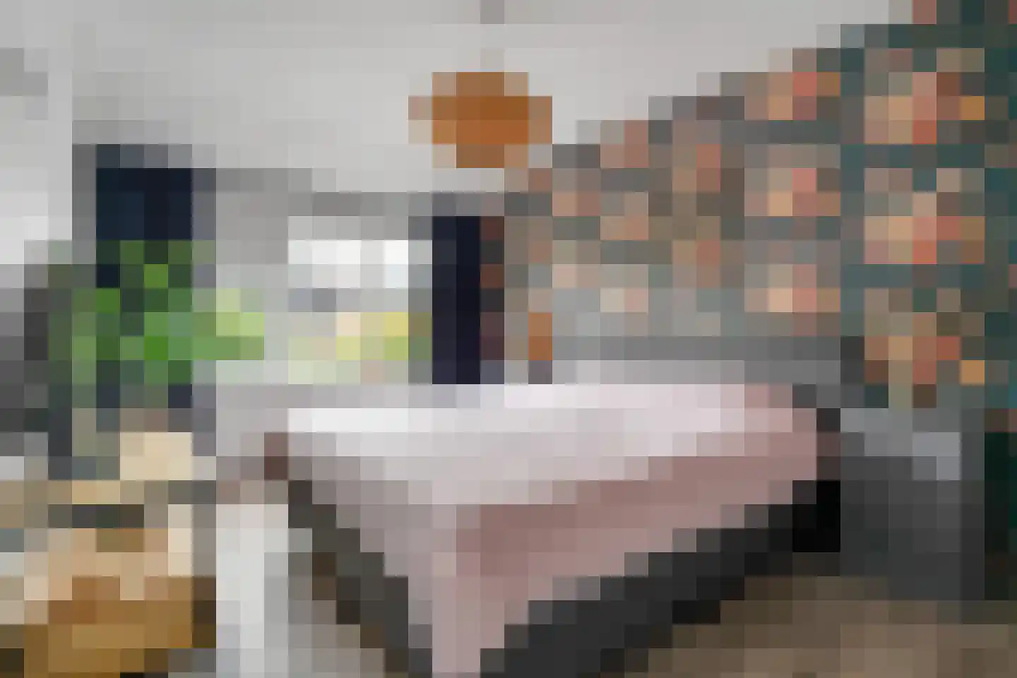 Herman ter Hoentelaan 16 Losser thumbnail 21