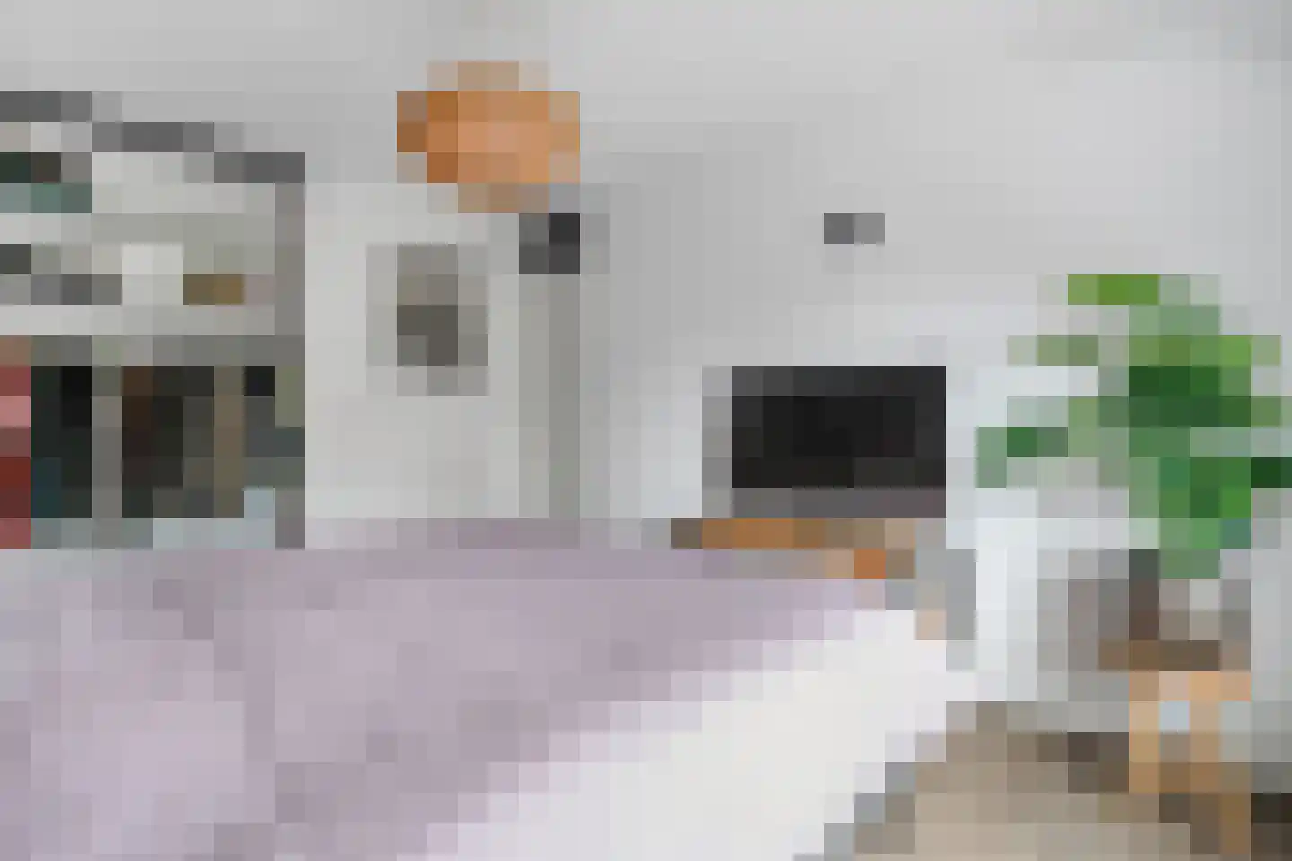 Herman ter Hoentelaan 16 Losser thumbnail 23