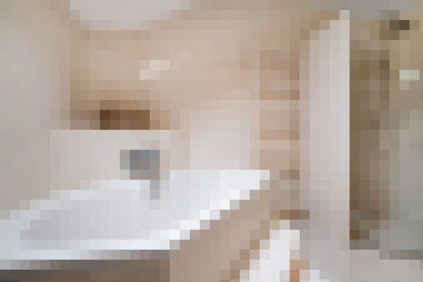 Herman ter Hoentelaan 16 Losser thumbnail 26