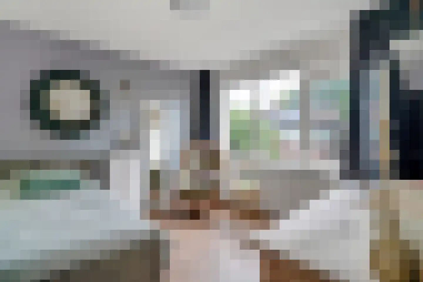 Herman ter Hoentelaan 16 Losser thumbnail 29