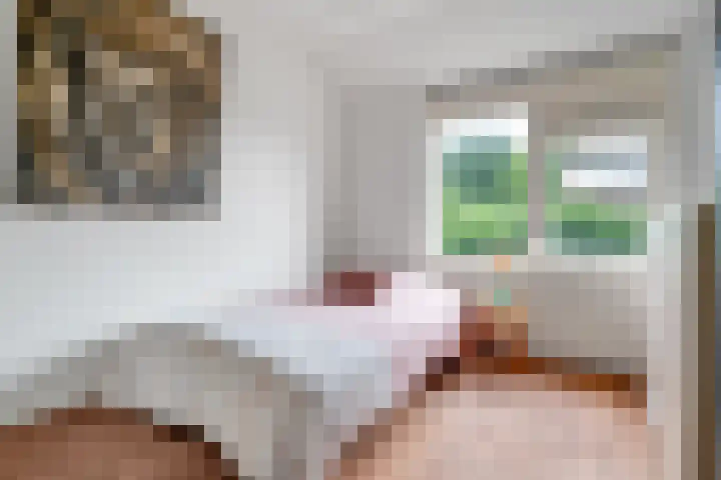 Herman ter Hoentelaan 16 Losser thumbnail 34