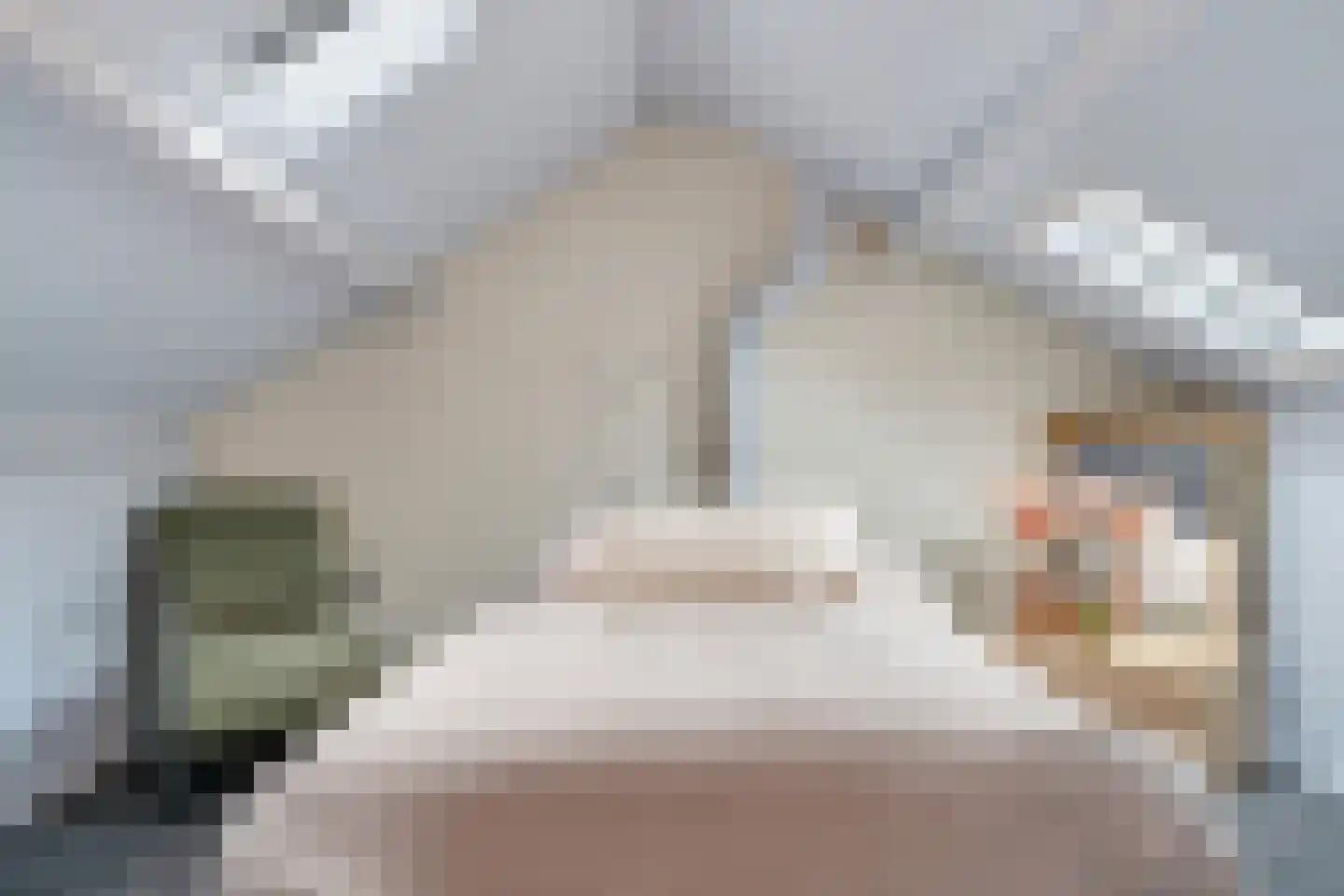 Herman ter Hoentelaan 16 Losser thumbnail 36