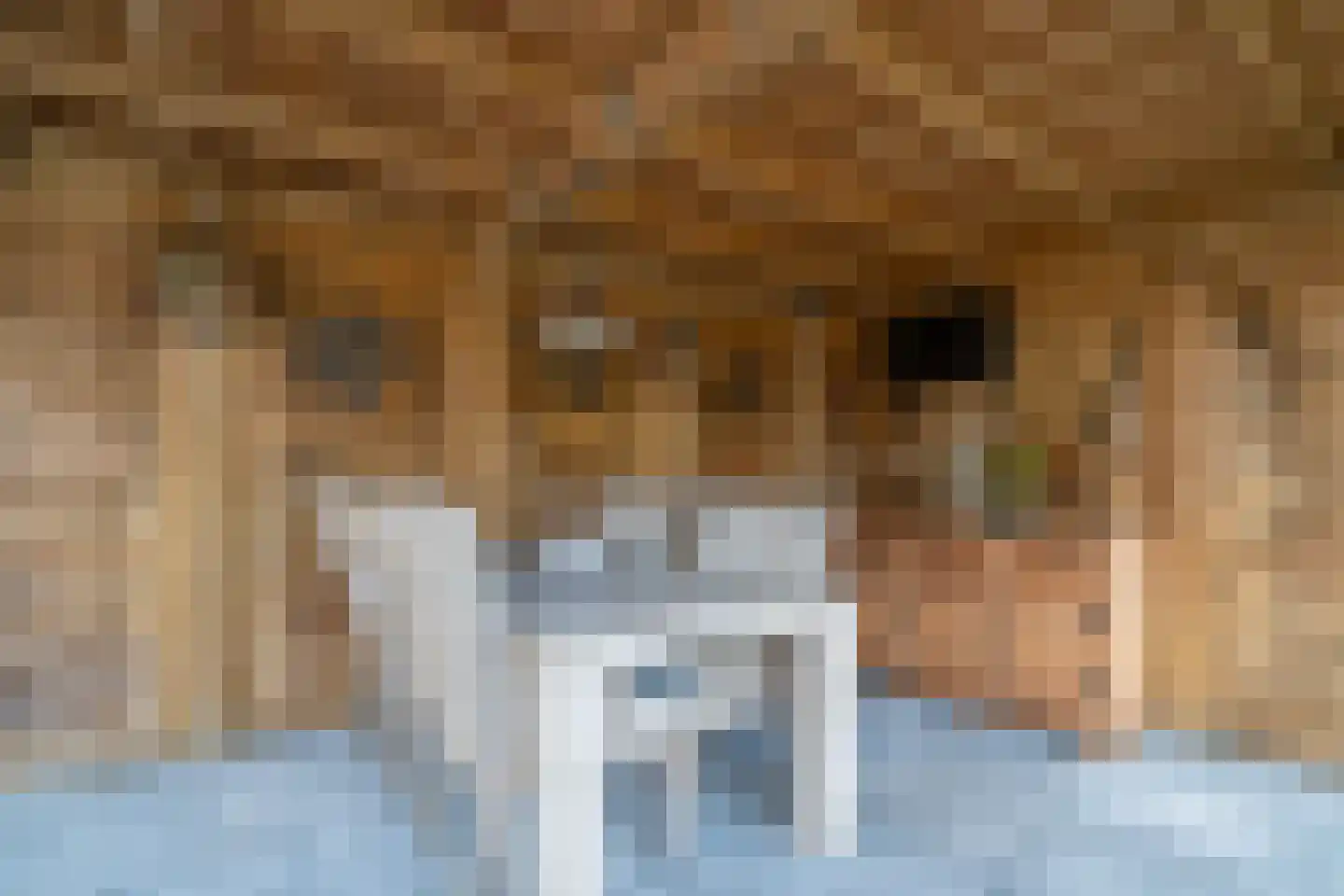 Herman ter Hoentelaan 16 Losser thumbnail 39