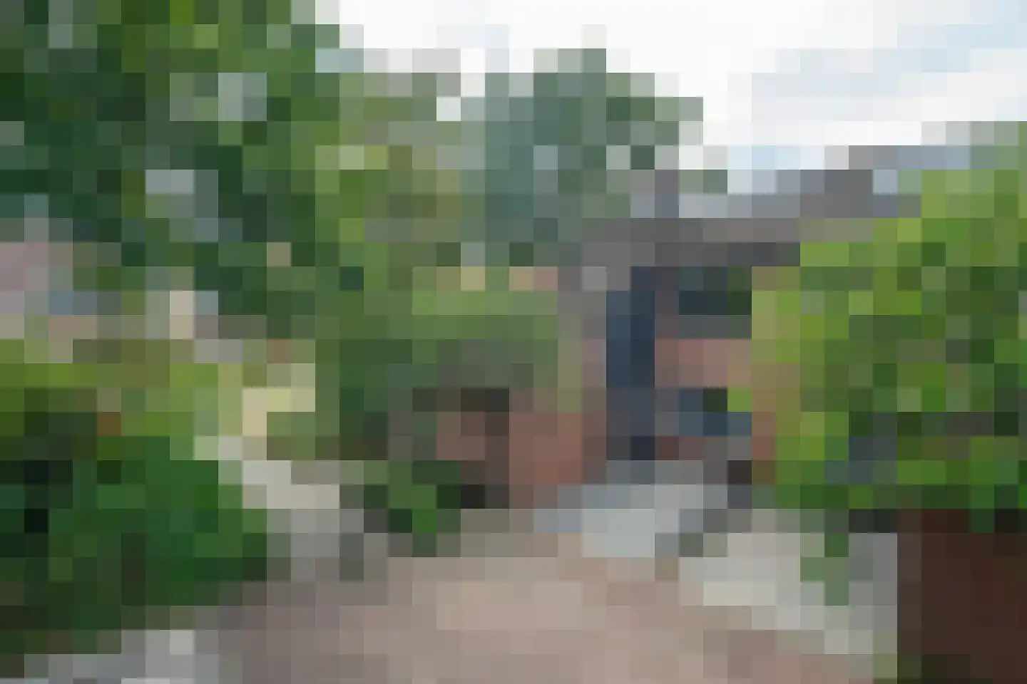 Herman ter Hoentelaan 16 Losser thumbnail 5