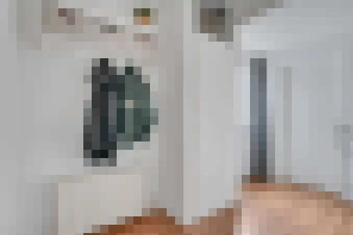 Herman ter Hoentelaan 16 Losser thumbnail 8